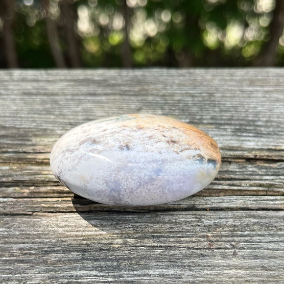 Ocean Jasper Palm - Picture 2 of 5